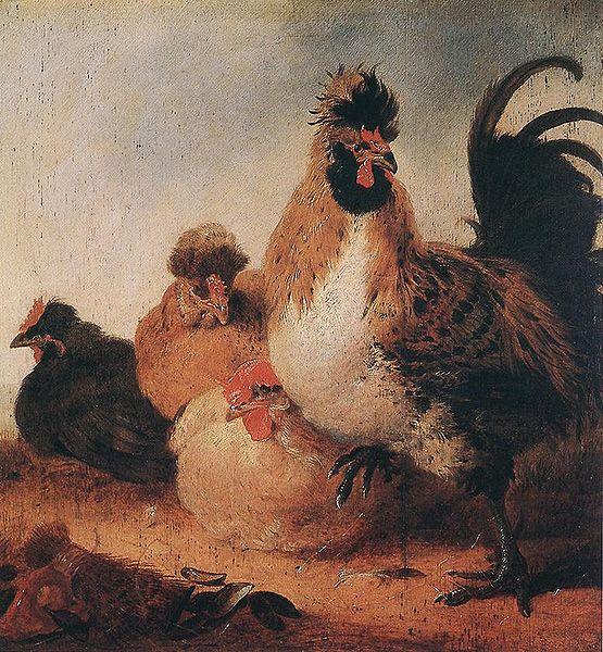 Aelbert Cuyp Rooster oil painting image